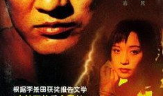 跨国追逃电视剧,猎狐行动背后的正义之战