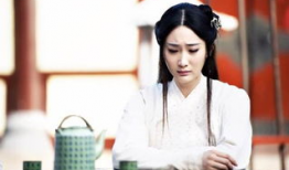 苏染染是什么电视剧,穿越时空的美丽传奇