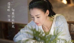 张柏芝 电视剧,演绎电视剧中的璀璨星光